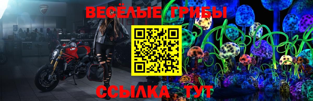 Галлюциногенные грибы MAGIC MUSHROOMS  Вход с VPN  купить наркотик  Курчалой  Галлюциногенные грибы ЛСД 