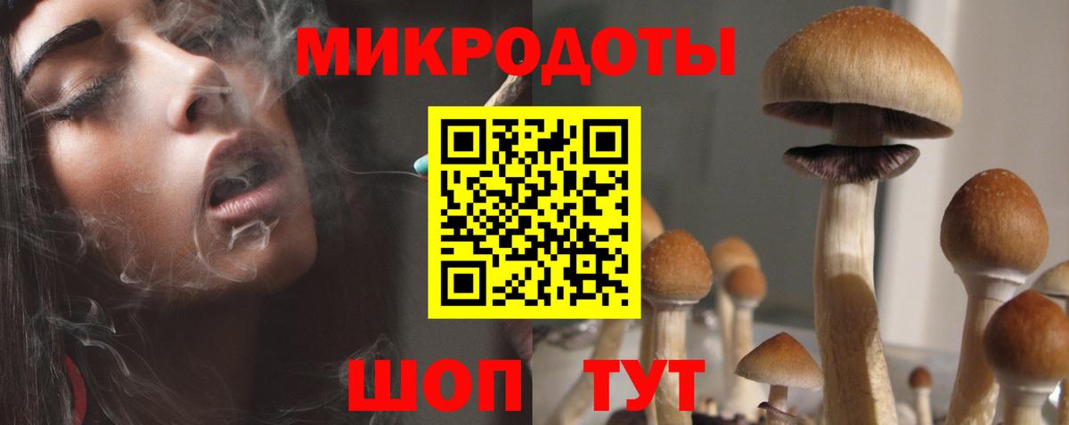 Псилоцибиновые грибы ЛСД Курчалой